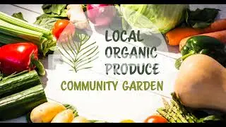 Animation of local organic produce text in green over fresh vegetables on white boards