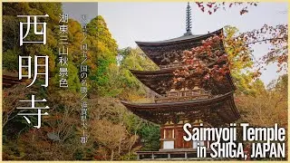 【滋賀／国宝】西明寺／湖東三山秋景色 - Beautiful autumn scenery of the Saimyoji Temple in SHIGA, JAPAN -