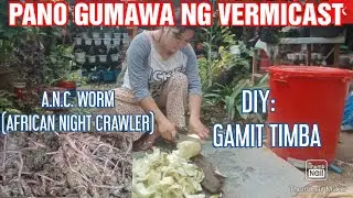 DIY: PANO GUMAWA NG VERMICAST GAMIT TIMBA..