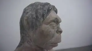 scene from the life of australopithecus - teste 1