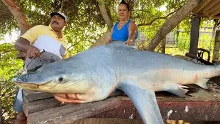 Wow !! Perfect Village Street's Fish Market Huge Cutting Skills Never Seen Before