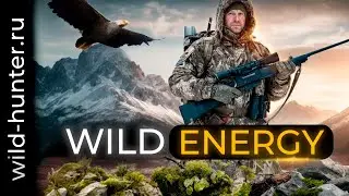 WILD ENERGY