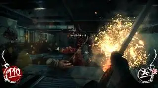 Shadow Warrior reboot