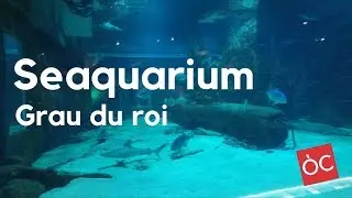 Seaquarium (Grau du Roi)