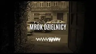 RAIZA DWZ - MROK DZIELNICY // PROD. D-LOW BEATS