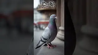 Flying Animals: Slowest to Fastest! #flyinganimals #fly #birds #bird #highlights #follow