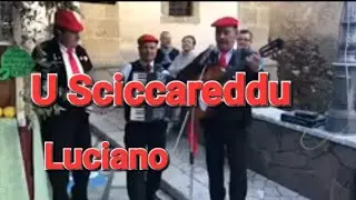 Paolo Gentile: U Sciccareddu ( canta: Luciano)
