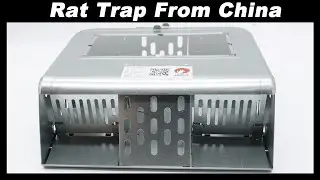 A New Rat Trap From China - Will It Work?    Mousetrap Monday