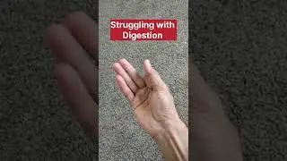 Boost Your Digestion: Simple Exercises for a Happy Gut #digestion #guthealth #yoga #viralshorts