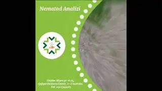 Agriman Consulting MMC.  Nematod Analizi