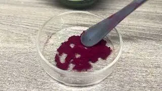 Blackcurrant Powder