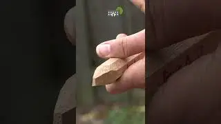Cutting and Shaping a Wooden Peg