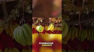 Food That Boost Energy Naturally