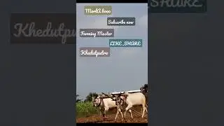 Morla hoo | vathiyara vachda ni moj