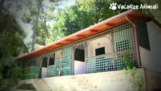 Camping Villaggio Internazionale -(FG)