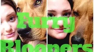 Furry Bloopers | Laurie Lombardi