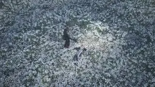 Metal Gear Solid Delta: Snake Eater - The Boss's Death