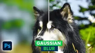 🔥How to apply Gaussian Blur Background Effect in Photoshop (Quick & Easy)