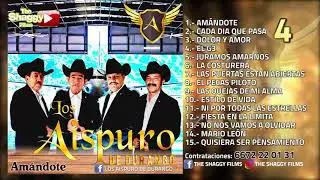 AMÁNDOTE/Los Aispuro de Durango (Disco Completo)
