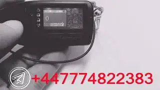 CODEGRABBER PANDORA P24