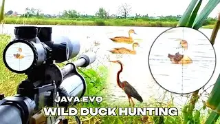 JAVA EVO‼️BERBURU BURUNG BELIBIS BERSAMA UNIT JAVA EVO TACTICAL & JAVA EVO KLASIK