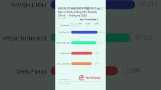 Top 10 Best-selling NEV Sedans China February 2025 #geelyxingyuan   #bydseagull    #xiaomisu7