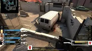 Stupid Aceu