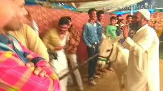 Aurangabad ka Talented Donkey Circus Show#औरंगाबाद का अकल्मन्द गधा सर्कस शो आपने कही नही देखा होगा|