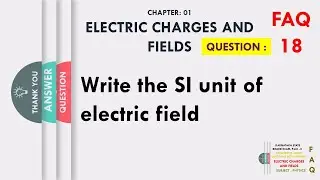 Write the SI unit of electric field