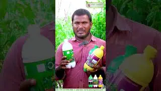 Tomato Online Farmer Mr. Yoganandhan giving feedback about our Products