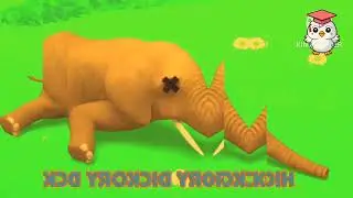 Hickory Dickory Dock/Reversed vs.Multicolor Effect/🎠🐎🐅🐆🐴🐱
