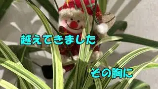 七色花/ 結城さおり/ cover kanna keiko