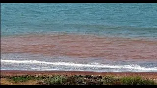 Tamastirth Beach , Dapoli
