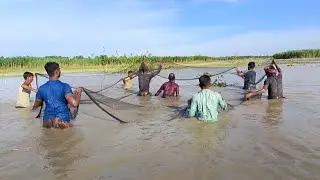 Jamuna River Traditional Fishing Life | যমুনা নদীর ঐতিহ্যবাহী মাছ ধরা জীবন