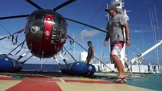 Tuna Encounter