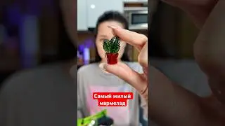 Мармелад🌵 #обзорпродуктов #пробую #мармелад #кактус #фудблог
