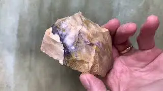 Hounding for Indian Blanket Jasper