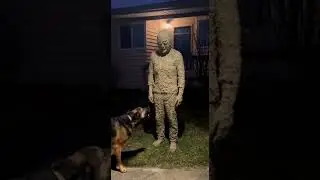 Figure Covered in Sand Seen on Door Camera | Dog Freezes in Fear