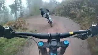 Bike Park Willingen: Flow Country Trail