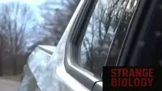 Weird biology facts part1