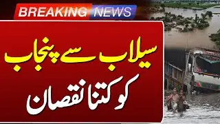 Punjab Flood Damage 2025 | Agricultural Losses, Infrastructure Destruction | Such News