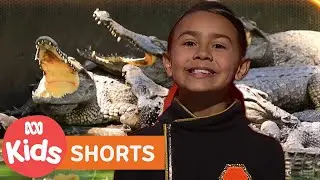 Fun Facts About Reptiles | The Wonder Gang | ABC Kids