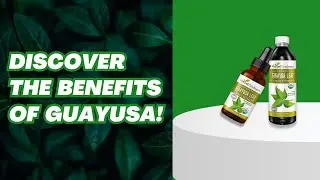 Benefits of Guayusa | Boost Your Health with Herbal Goodness!