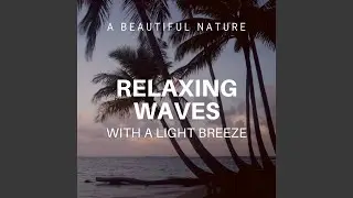 Nature Soundscapes: Waves