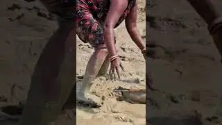 Amazing Village Women Net Fishing #Shorts