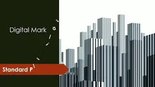 Standard Plus Business Development Plan | How to create Brand equity | Digital Mark Media Agency.