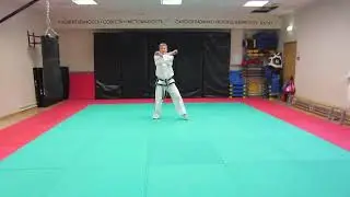 19. 4-й Дан. Йон-Ге Туль / Yong-Gae Tul (Pattern) - Taekwon-Do ITF. Master Ri Yong Il (DPRK).