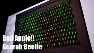 『Bad Apple!!』but, scarab beetle display...🪲 #badapple #影絵 #mediaarts 