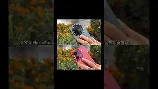 Oppo Find X9 Pro vs Oppo Find X8 Ultra Camera 6x Telephoto Zoom Photography