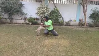 Reducing conflict with play.